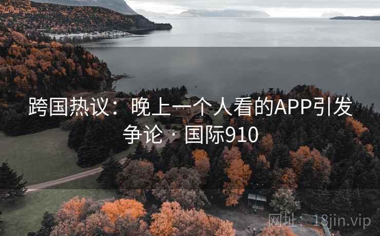 跨国热议：晚上一个人看的APP引发争论 · 国际910