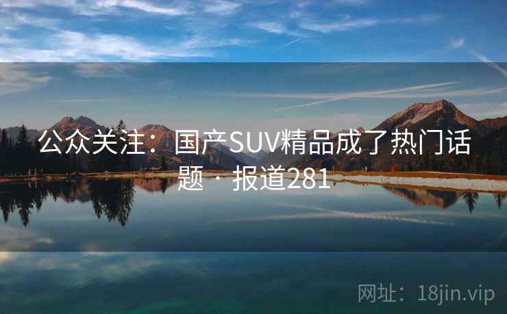 公众关注：国产SUV精品成了热门话题 · 报道281